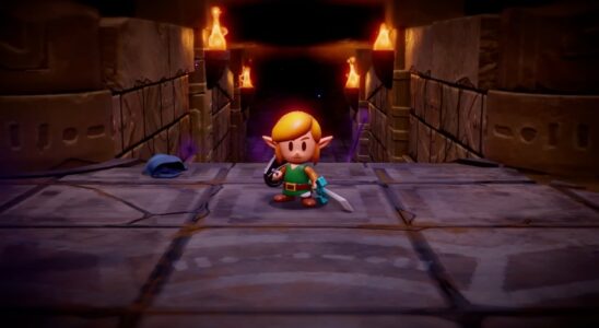 ICYMI : Oui, les donjons reviennent dans The Legend Of Zelda : Echoes Of Wisdom