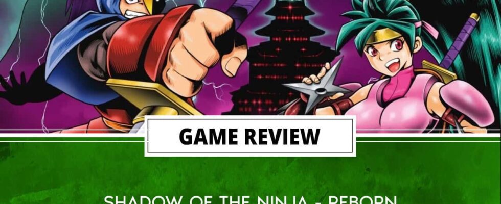 shadow of the ninja - reborn review header