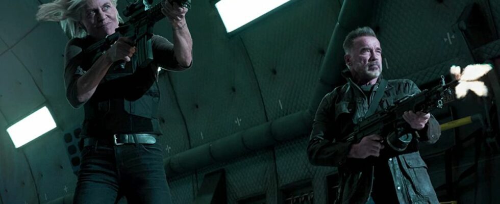 Linda Hamilton and Arnold Schwarzenegger firing machine guns next to each other out of the back of a plane in Terminator: Dark Fate.