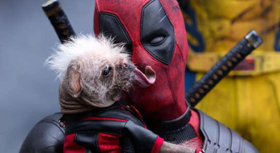 Comment regarder Deadpool et Wolverine à la maison