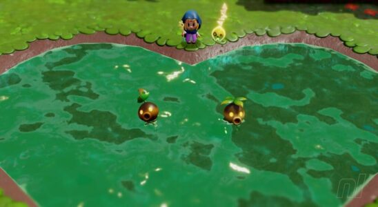 Zelda : Echoes Of Wisdom : Une faille dans la quête principale des zones humides de Faron