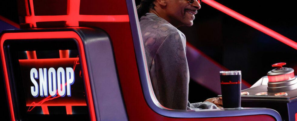 Aperçu de « The Voice » : Dreion est une « étoile brillante » (VIDÉO)