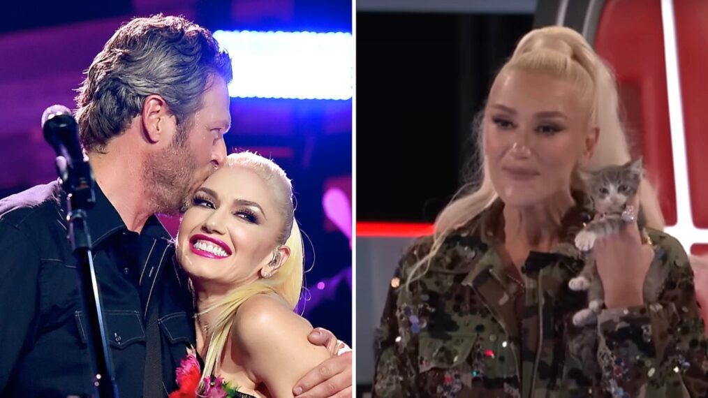 Blake Shelton & Gwen Stefani, cat Corn