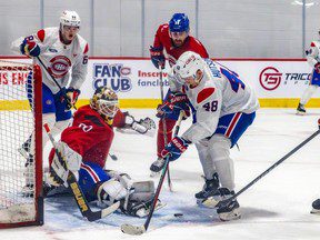 COWAN : Lane Hutson et Logan Mailloux des Canadiens semblent prêts à briller