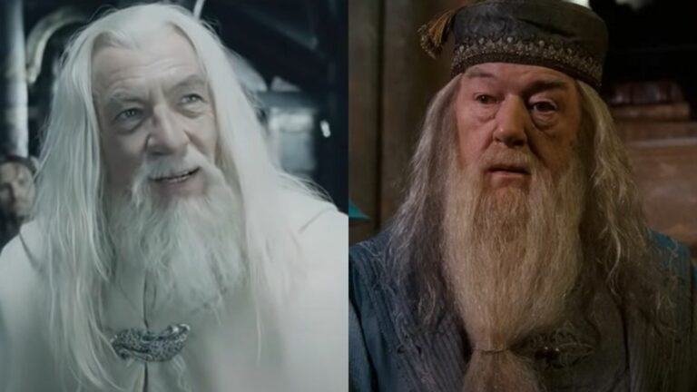 From left to right: Gandalf smiling and Dumbledore looking slightly concerned. 