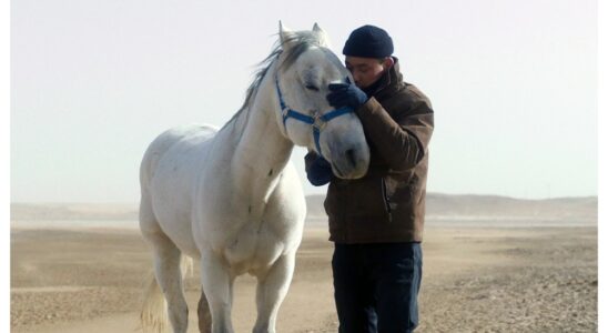 Il faut du temps pour devenir un héros dans le reportage de Venice Days « Tuer un cheval mongol » Plus de Variety Les plus populaires À lire absolument Inscrivez-vous aux bulletins d'information de Variety Plus de nos marques