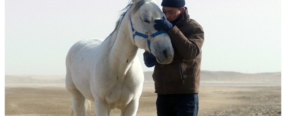 Il faut du temps pour devenir un héros dans le reportage de Venice Days « Tuer un cheval mongol » Plus de Variety Les plus populaires À lire absolument Inscrivez-vous aux bulletins d'information de Variety Plus de nos marques