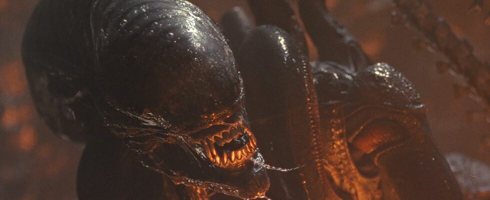 The Scorched Xenomorph snarls while bathed in orange light in Alien: Romulus.