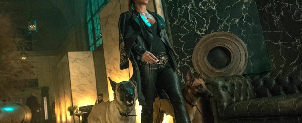 Halle Berry's Sofia walking with her dogs in John Wick 3