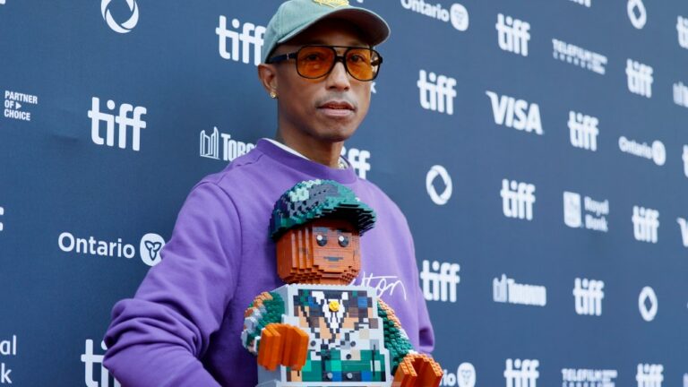 Un manifestant envahit la scène lors de la première de « Piece by Piece » de Pharrell au TIFF
	
	
