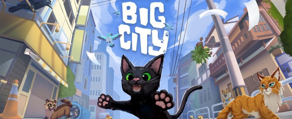 Changez d'offres eShop - Little Kitty Big City, Kao le kangourou, Melty Blood, plus