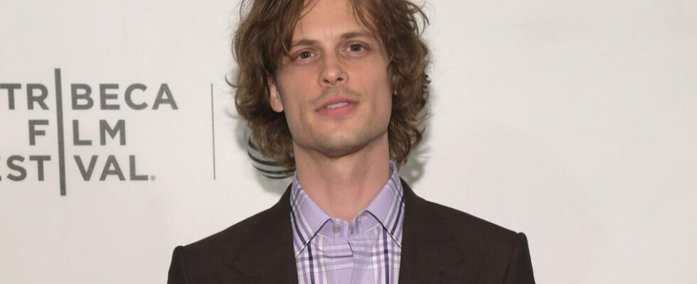 Matthew Gray Gubler