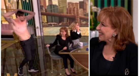 Joy Behar on The View