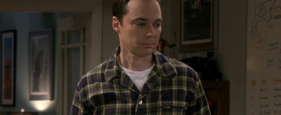 Sheldon in plaid shirt in The Big Bang Theory