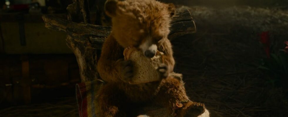 La nouvelle bande-annonce de Paddington 3 révèle un premier aperçu de bébé Paddington