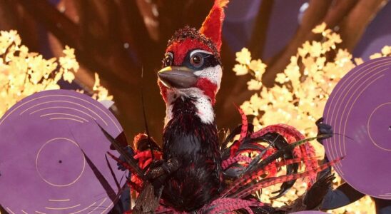 The Woodpecker in The Masked Singer