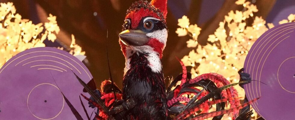 The Woodpecker in The Masked Singer