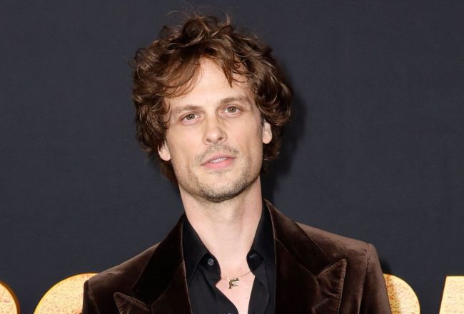 Matthew Gray Gubler jouera dans la série « Einstein » pour CBS