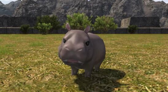 Moo Deng Fandom fait monter en flèche les prix des Hippo Minions dans Final Fantasy XIV