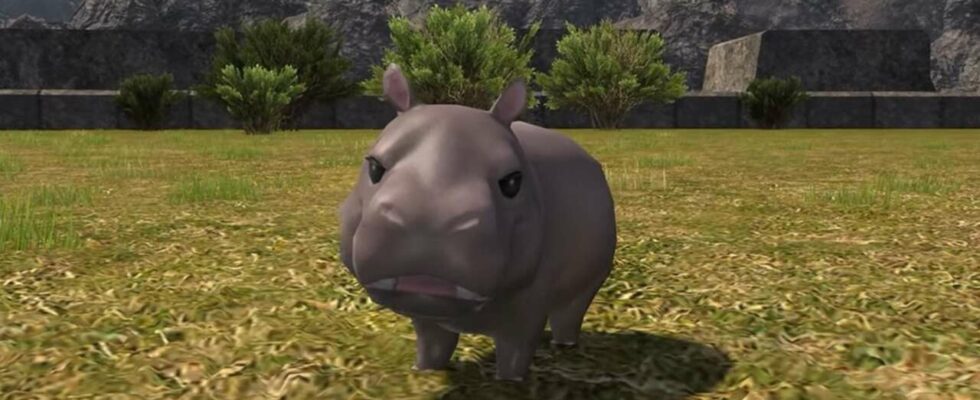 Moo Deng Fandom fait monter en flèche les prix des Hippo Minions dans Final Fantasy XIV