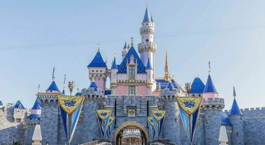 "Plein de mensonges" : une femme arrêtée à Disneyland menace maintenant de poursuivre le parc en justice