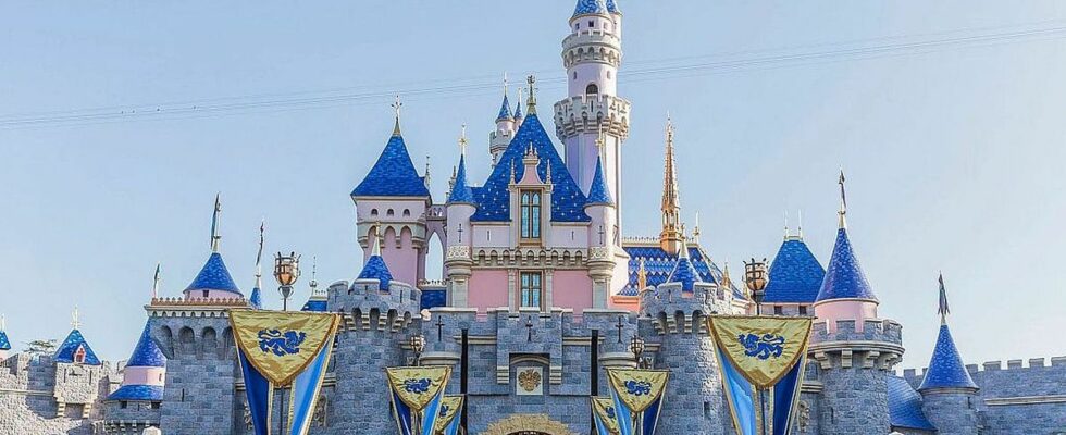 "Plein de mensonges" : une femme arrêtée à Disneyland menace maintenant de poursuivre le parc en justice