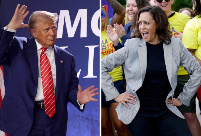 « SNL » exclut Donald Trump et Kamala Harris avant les élections