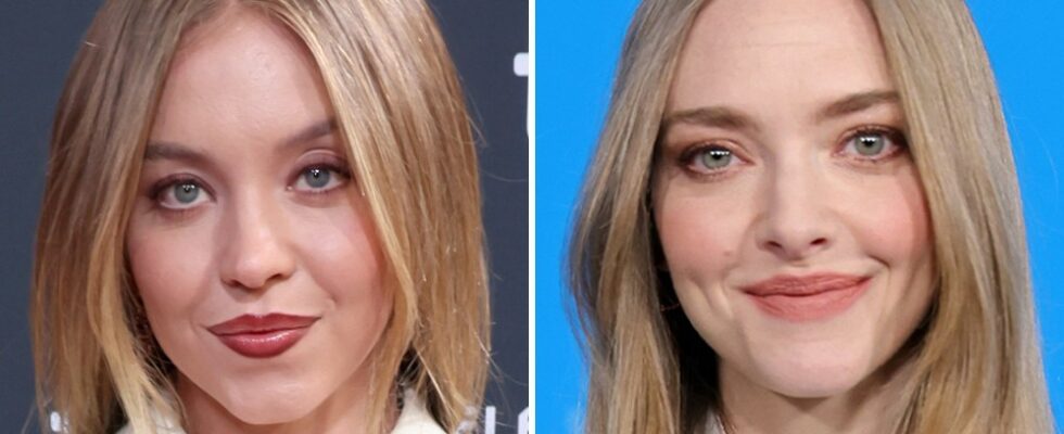 Sydney Sweeney et Amanda Seyfried joueront dans l'adaptation de "The Housemaid" du réalisateur Paul Feig, Lionsgate Plus de Variety Les plus populaires À lire absolument Abonnez-vous aux newsletters Variety Plus de nos marques