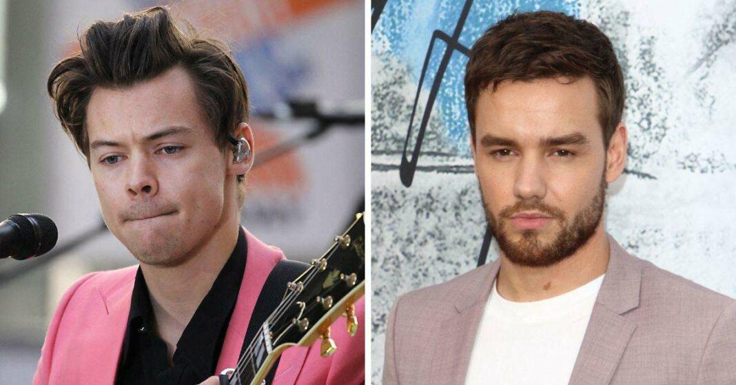 Liaison profonde entre Harry Styles et Liam Payne : des styles vestimentaires et des coiffures semblables à X Factor jusqu'à la douleur commune face à des pertes personnelles.