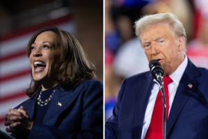 Trump vs. Harris: A Detailed Comparison of Campaign Rallies and Strategies Across Key States