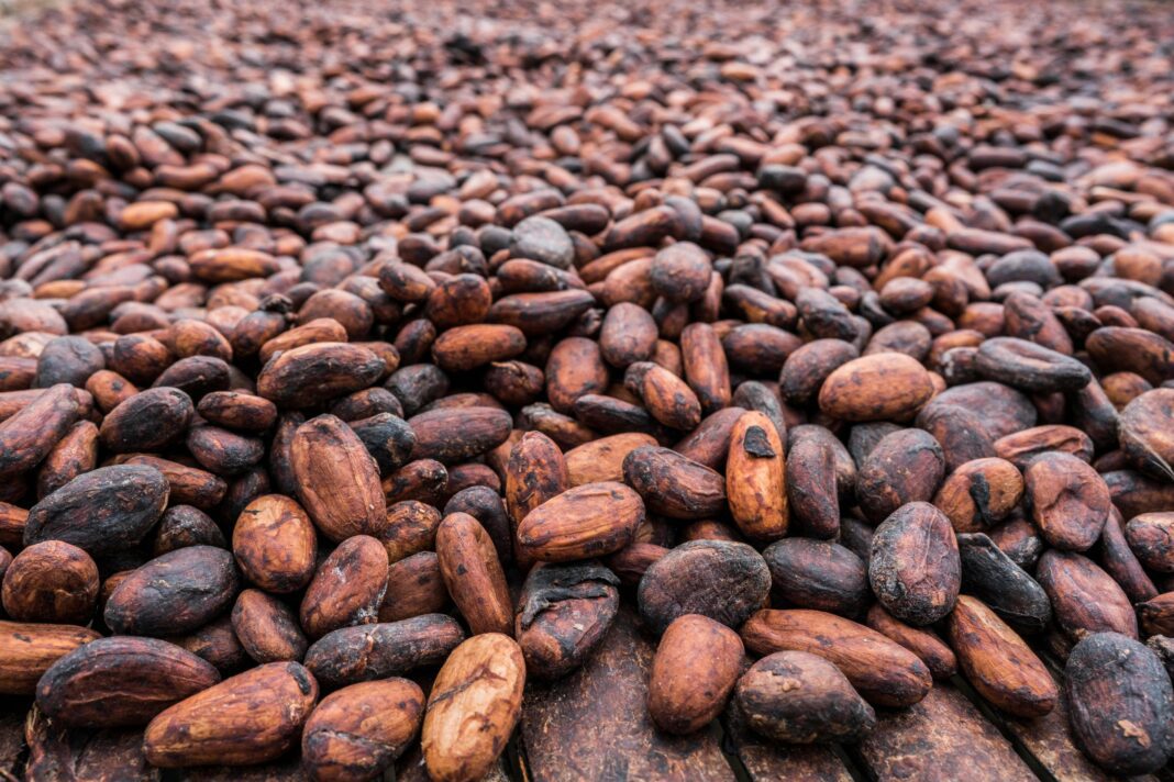 Preise für Schokolade steigen weiter: Barry Callebaut kündigt Preiserhöhungen und umfassende Umstrukturierungen an