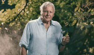 David Attenborough inquiet face à l'utilisation de l'IA pour cloner sa voix