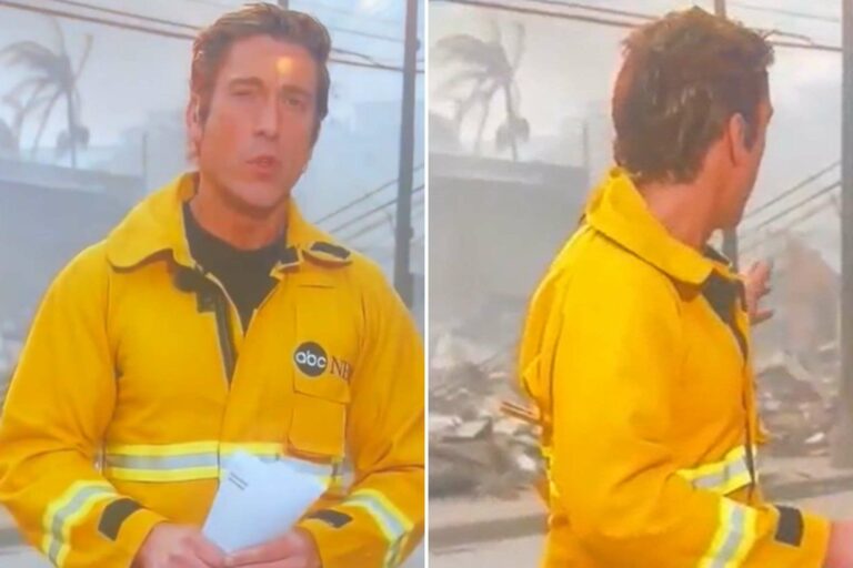 David Muir d'ABC critiqué pour son attitude « narcissique » lors d'un reportage sur les incendies de Los Angeles, tentant de paraître plus viril.