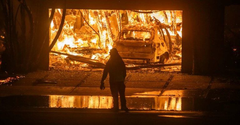 Elon Musk et Donald Trump diffusent des fausses informations en pleine crise des incendies de forêt à Los Angeles.