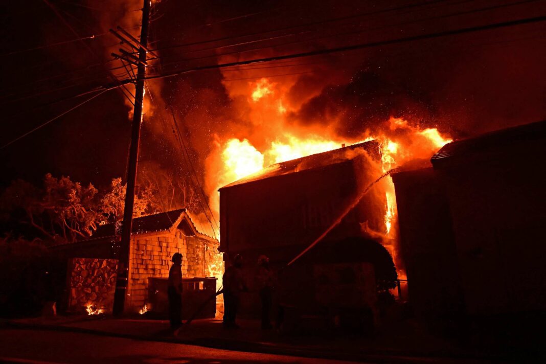 Titre : Démêler le vrai du faux : Les vidéos de sauvetage de chats pendant les incendies de forêt en Californie décryptées.