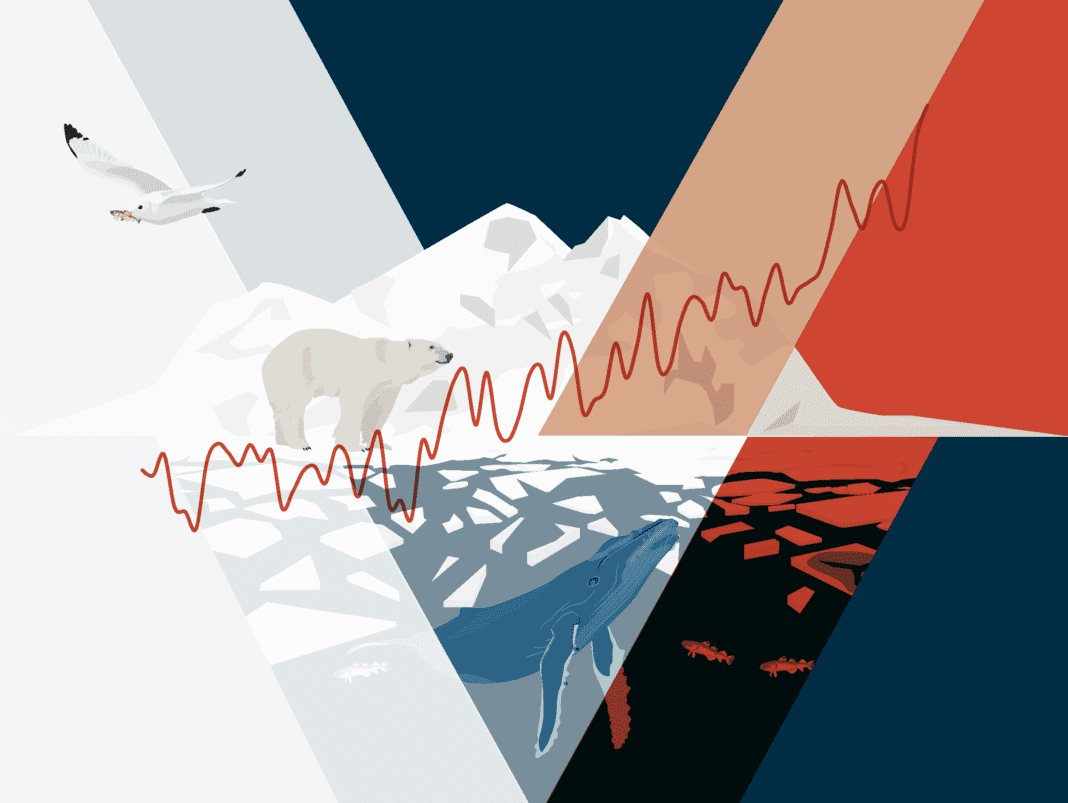 Titre : 2024 : Une année marquante pour le climat avec des records de réchauffement climatique