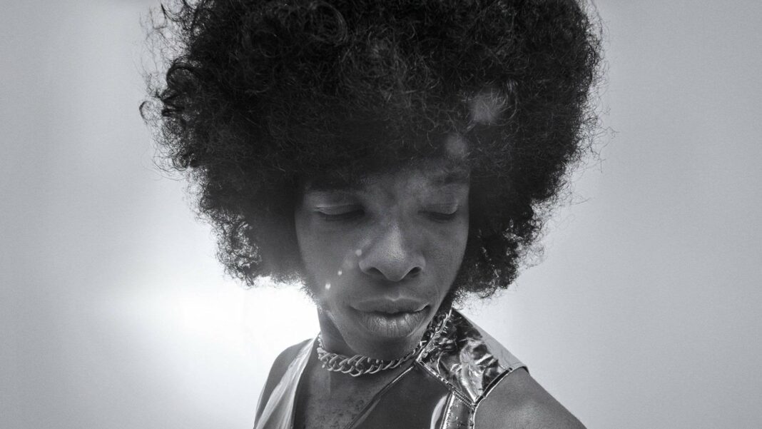 Sly Stone : Le documentaire de Questlove, une exploration fascinante du génie musical noir