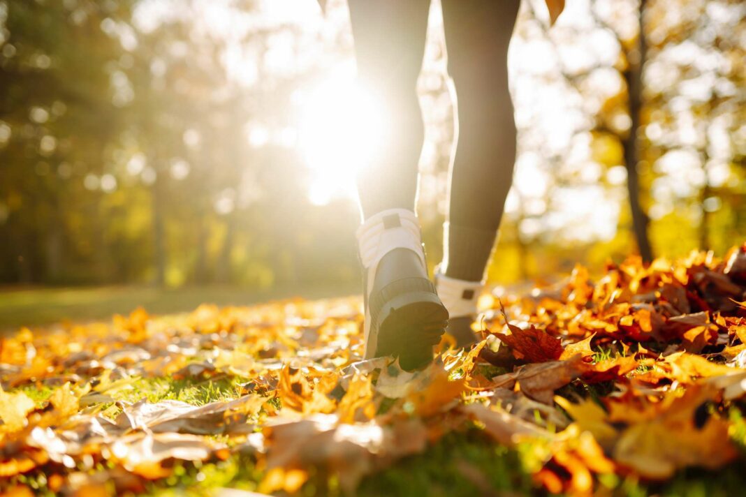 Le sport : un allié pour la santé du cerveau et la prévention de la démence