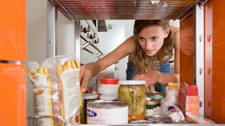 Lutte contre les insectes en cuisine : Les raisons essentielles de s'en débarrasser.