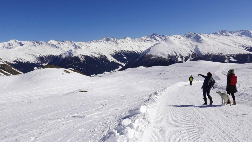 Guide essentiel pour des randonnées hivernales en toute sécurité